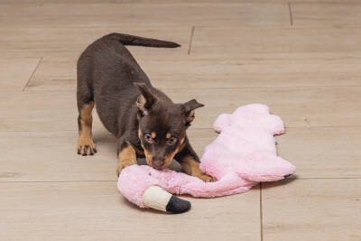 Beeztees Yavru Köpek Oyuncağı, Flamingo, Peluş, Pembe, 72x27x5cm - 3