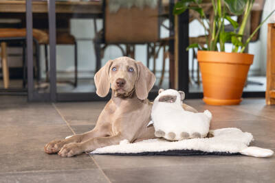 Beeztees Yavru Köpek Oyuncağı, Kalp Atışlı, Lama, Peluş, Beyaz, 26x20x7,5cm - 4