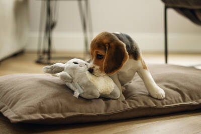 Beeztees Yavru Köpek Oyuncağı, Kalp Atışlı, Tavşan, Peluş, Gri, 25x20x7,5cm - 4