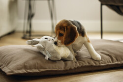 Beeztees Yavru Köpek Oyuncağı, Kalp Atışlı, Tavşan, Peluş, Gri, 25x20x7,5cm - 4