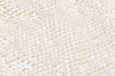 Beeztees Yavru Köpek Oyuncağı, Peluş, Beyaz, 37x28x4cm - 5