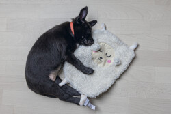 Beeztees Yavru Köpek Oyuncağı, Peluş, Beyaz, 40x22x5cm - 2