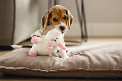 Beeztees Yavru Köpek Oyuncağı, Unicorn, Peluş, Beyaz, 18x15x11,5cm - 2