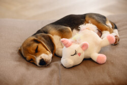 Beeztees Yavru Köpek Oyuncağı, Unicorn, Peluş, Beyaz, 18x15x11,5cm - 3