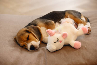 Beeztees Yavru Köpek Oyuncağı, Unicorn, Peluş, Beyaz, 18x15x11,5cm - 3