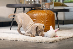 Beeztees Yavru Köpek Oyuncağı, Unicorn, Peluş, Beyaz, 74x14x15cm - 3