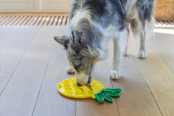 Beeztees Yavru Köpek Yaş Mama Yeme Oyuncağı, Ananas Şeklinde,Silikon, Sarı, 20x20cm - 3