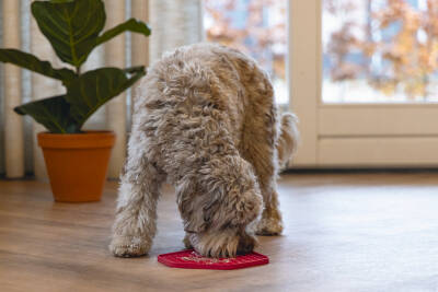 Beeztees Yavru Köpek Yaş Mama Yeme Oyuncağı, Sekizgen Şeklinde, Silikon, Pembe, 23x20cm - 2