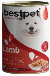Bestpet Jöle İçinde Parça Kuzu Etli Konserve Yetişkin Köpek Maması 400 gr - Bestpet