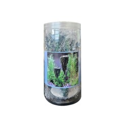 Chicos Avatar Kaya Yüzen Dekor S Boy 9 x 8,1 x 6,2 Cm - Chicos