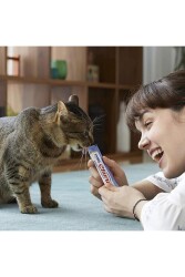 Ciao Churu Cream Tavuklu ve Deniz Taraklı Krema Sıvı Kedi Ödülü 4 X 14 gr - 3