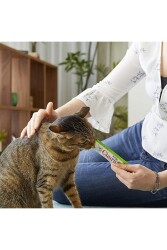 Ciao Churu Cream Tavuklu ve Deniz Taraklı Krema Sıvı Kedi Ödülü 4 X 14 gr - 4