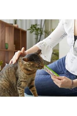 Ciao Churu Cream Tavuklu ve Deniz Taraklı Krema Sıvı Kedi Ödülü 4 X 14 gr - 4