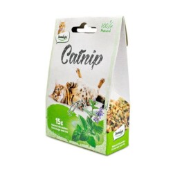 Dentalight Doğal Kedi Nanesi 15 Gr - Dentalight