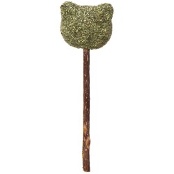 Eastland Matatabi Kedi Diş Temizleyici ve Catnip Ayıcık Kedi Oyuncağı - Eastland