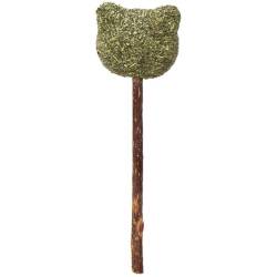 Eastland Matatabi Kedi Diş Temizleyici ve Catnip Ayıcık Kedi Oyuncağı - Eastland