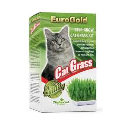 Eurogold Kedi Çimi - EuroGold