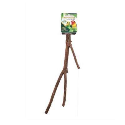 EuroGold Muhabbet ve Paraket Kuşları için Doğal Ahşap Tünek 25 Cm - 1
