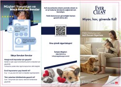 Ever Clean Evcil Hayvan Sigortası - 3