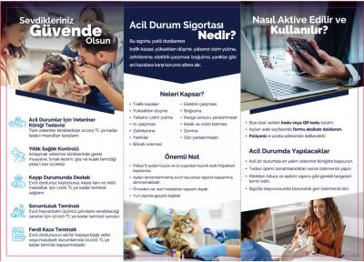 Ever Clean Evcil Hayvan Sigortası - 2