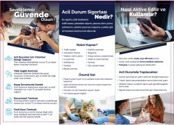 Ever Clean Evcil Hayvan Sigortası - 2