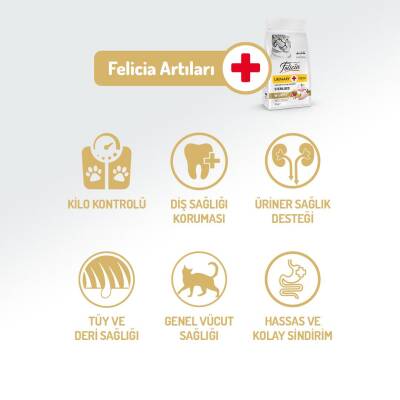 Felicia Düşük Tahıllı Tavuklu HypoAllergenic Kısırlaştırılmış Yetişkin Kedi Maması 2 kg - 3