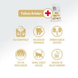 Felicia Düşük Tahıllı Tavuklu HypoAllergenic Kısırlaştırılmış Yetişkin Kedi Maması 2 kg - 3