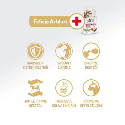 Felicia Kuzu Etli Düşük Tahıllı Yavru ve Hamile Kedi Maması 2 kg - 3