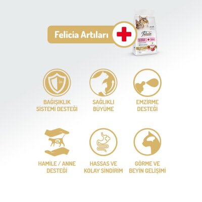 Felicia Kuzu Etli Düşük Tahıllı Yavru ve Hamile Kedi Maması 2 kg - 3