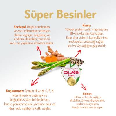 Felicia Kuzulu Pirinçli Düşük Tahıllı Hipoalerjenik Köpek Maması 15 kg - 4