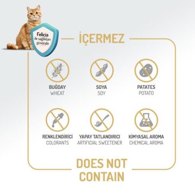 Felicia Light Somonlu Düşük Tahıllı Kısırlaştırılmış Kedi Maması 5 kg - 4