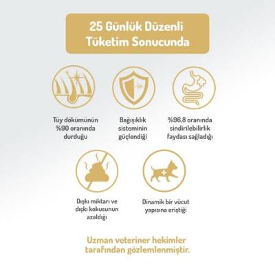 Felicia Mini Somonlu Düşük Tahıllı Hipoalerjenik Köpek Maması 3 kg - 5