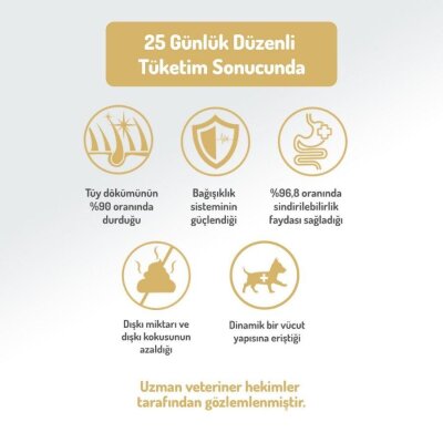 Felicia Mini Somonlu Düşük Tahıllı Hipoalerjenik Köpek Maması 3 kg - 5