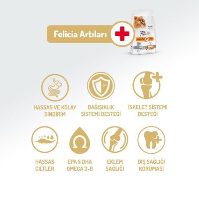Felicia Mini Somonlu Düşük Tahıllı Hipoalerjenik Köpek Maması 3 kg - 2