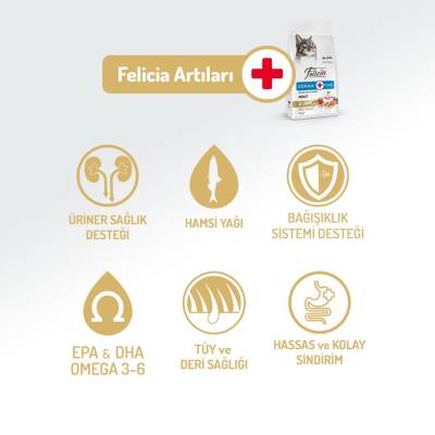 Felicia Somon Balıklı Düşük Tahıllı Hipoalerjenik Kedi Maması 2 kg - 3