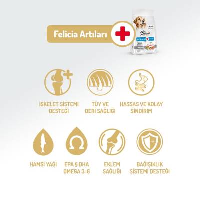 Felicia Somon Balıklı Düşük Tahıllı Hipoalerjenik Yetişkin Köpek Maması 15 kg - 3