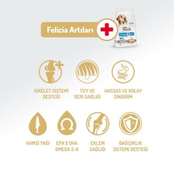 Felicia Somon Balıklı Düşük Tahıllı Hipoalerjenik Yetişkin Köpek Maması 15 kg - 3