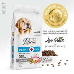 Felicia Somon Balıklı Düşük Tahıllı Hipoalerjenik Yetişkin Köpek Maması 15 kg - 2