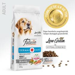 Felicia Somon Balıklı Düşük Tahıllı Hipoalerjenik Yetişkin Köpek Maması 15 kg - 2