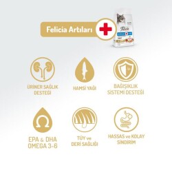 Felicia Somonlu Düşük Tahıllı Kolajenli Yetşkin Kedi Maması 5 kg - 2