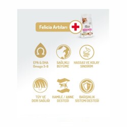 Felicia Tavuklu Düşük Tahıllı Yavru Kedi Maması 2 kg - 3