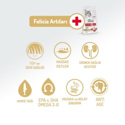 Felicia Kuzu Etli Az Tahıllı HypoAllergenic Yetişkin Kedi Maması 2 kg - 3