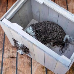 Ferplast Argo 50 Ahşap Kedi ve Köpek Kulübesi - 5