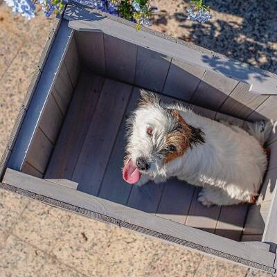 Ferplast Argo 60 Ahşap Köpek Kulübesi - 5