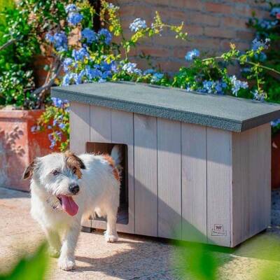 Ferplast Argo 60 Ahşap Köpek Kulübesi - 3