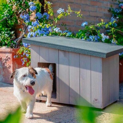 Ferplast Argo 60 Ahşap Köpek Kulübesi - 3
