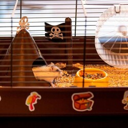 Ferplast Criceti 9 Beyaz Demirli Hamster Kafesi 46x29x23 cm - 4