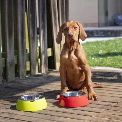 Ferplast Jolie Kedi ve Köpekler için Çelik Mama ve Su Kabı Kırmızı 850 ml M - 5