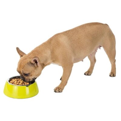 Ferplast Jolie Kedi ve Köpekler için Çelik Mama ve Su Kabı Yeşil 500 ml S - 3