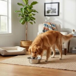 Ferplast Orion 56 Paslanmaz Çelik Mama ve Su Kabı 1800 ml - 2